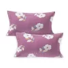 Signature Double Bedsheet with 2 pillow covers - Image 4